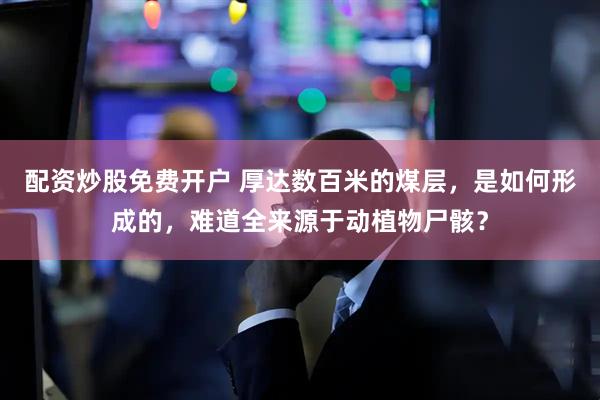 配资炒股免费开户 厚达数百米的煤层，是如何形成的，难道全来源于动植物尸骸？
