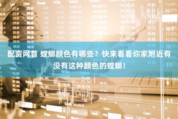 配资网首 螳螂颜色有哪些？快来看看你家附近有没有这种颜色的螳螂！